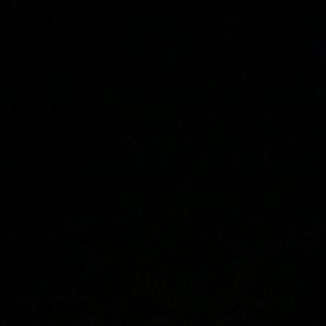 Meet your Posher, Joy